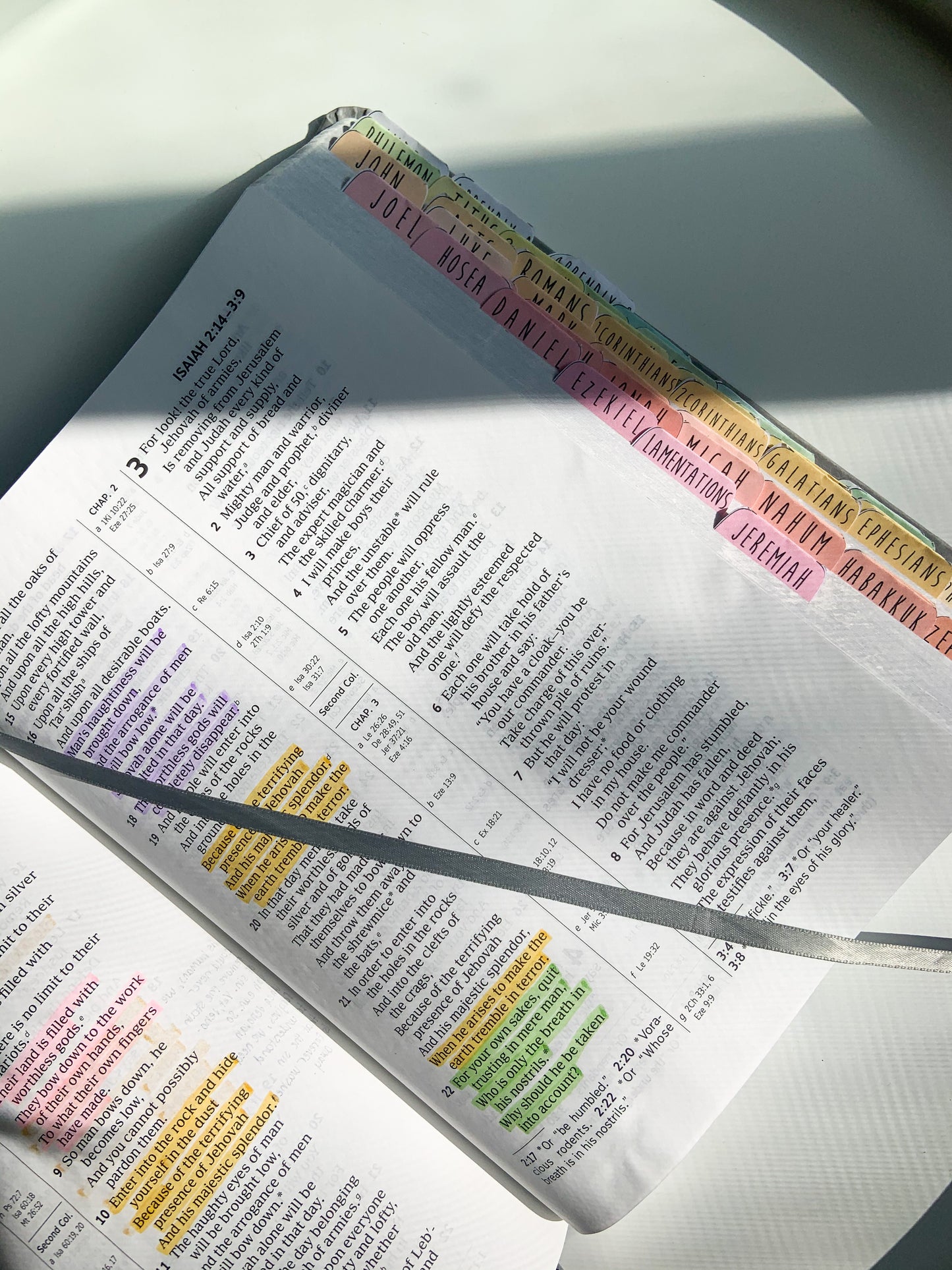 Digital Printable Bible Reading Tabs