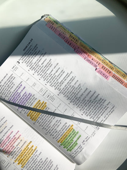 Digital Printable Bible Reading Tabs