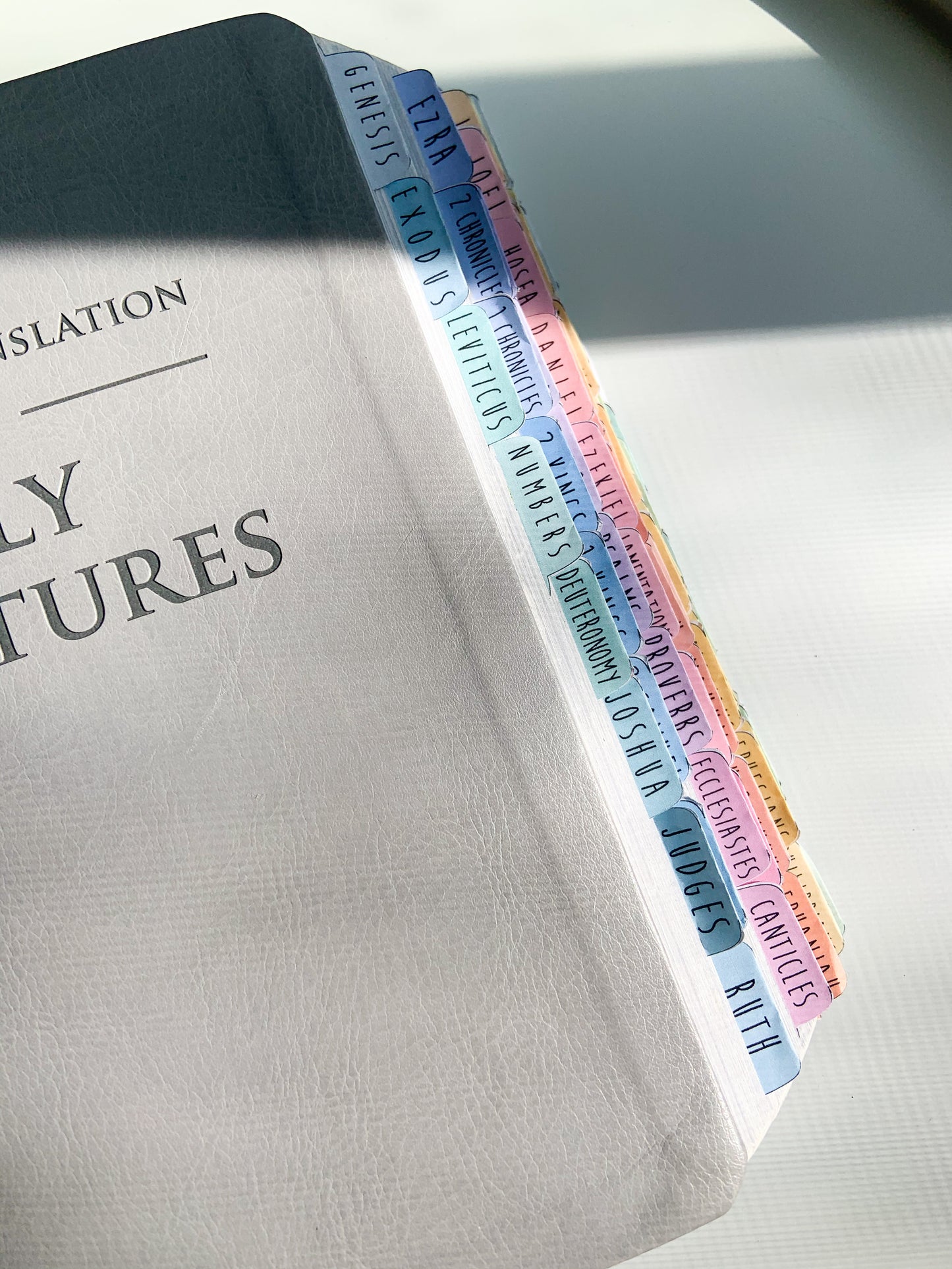 Digital Printable Bible Reading Tabs